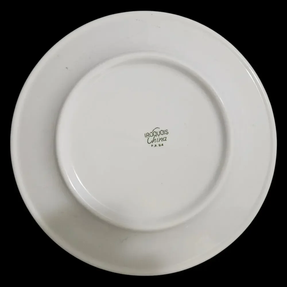 Iroquois China set two